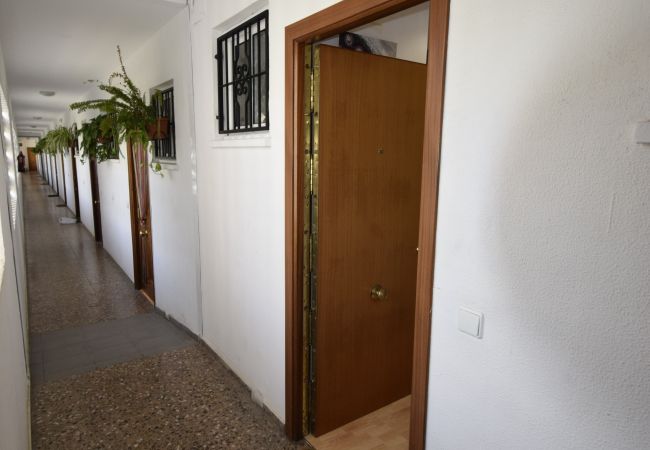 Apartamento en Benidorm - COMERCIAL LEPANTO (1 DORMITORIO) Apartamento en Benidorm - COMERCIAL LEPANTO (1 DORMITORIO)