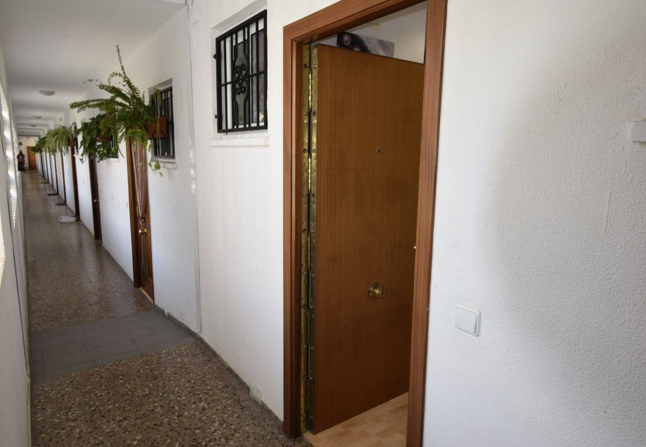 Apartamento en Benidorm - COMERCIAL LEPANTO (1 DORMITORIO)