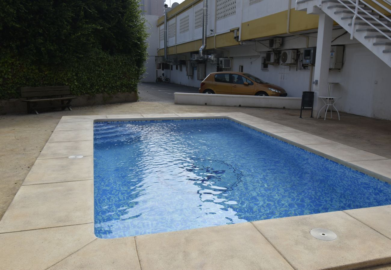 Apartamento en Benidorm - COMERCIAL LEPANTO (1 DORMITORIO)