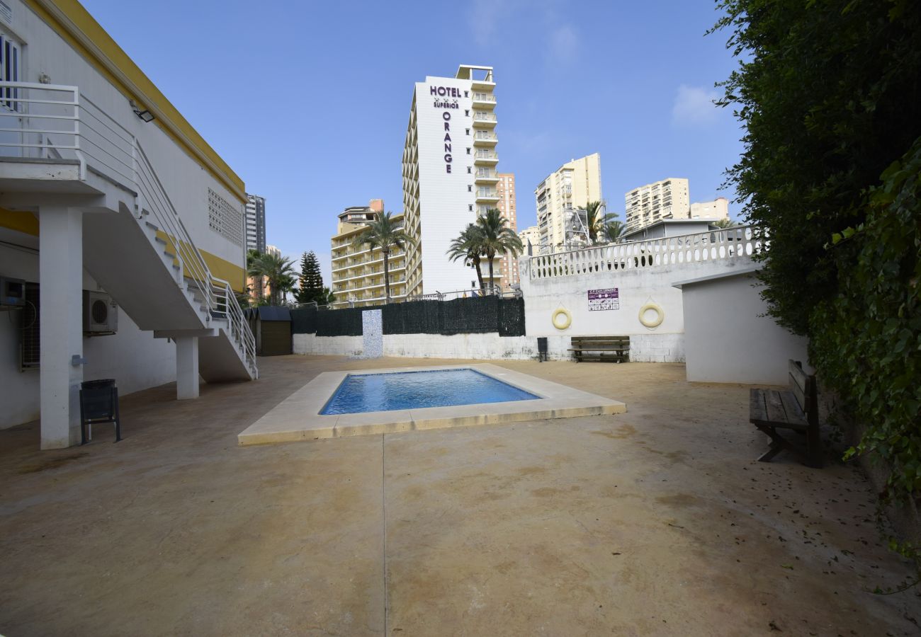 Apartamento en Benidorm - COMERCIAL LEPANTO (1 DORMITORIO)