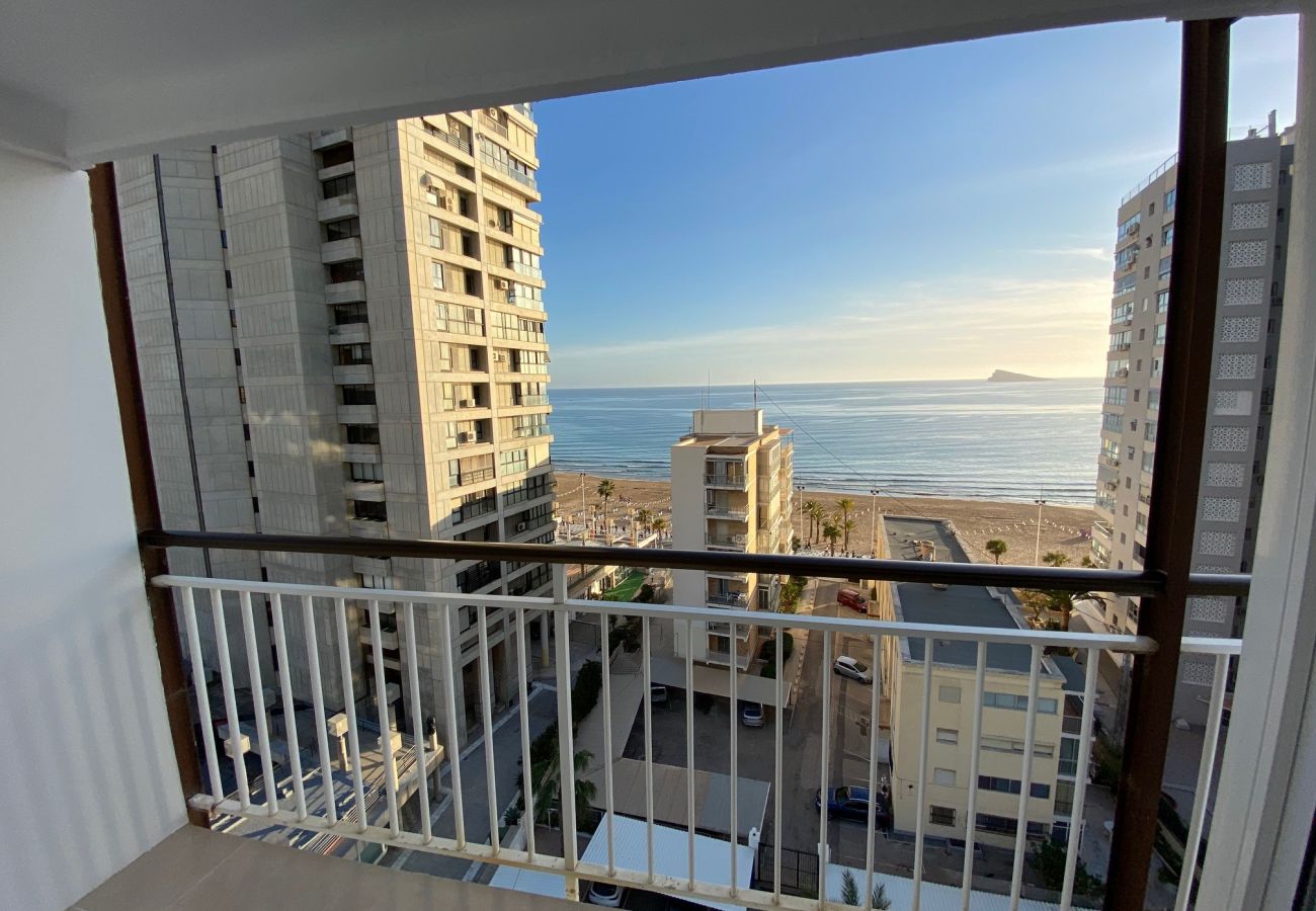 Apartamento en Benidorm - MAR BLAU (3 DORMITORIOS)