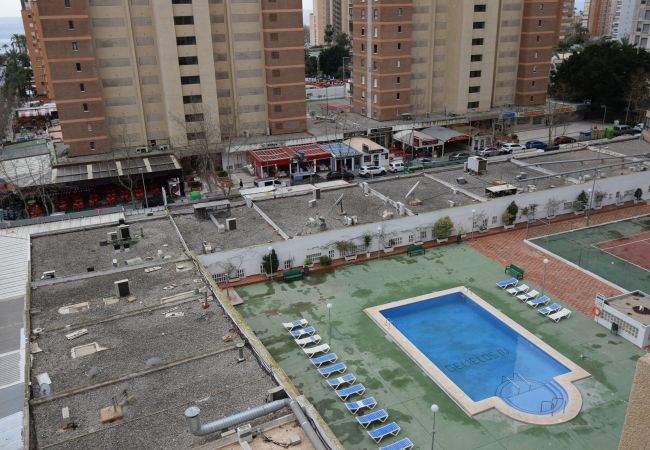 Apartamento en Benidorm - GEMELOS 4 (2 DORMITORIOS) Apartamento en Benidorm - GEMELOS 4 (2 DORMITORIOS)