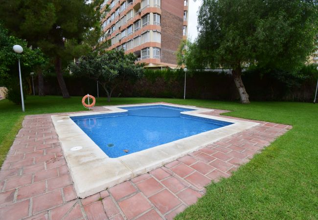 Apartamento en Benidorm - GEMELOS 4 (2 DORMITORIOS) Apartamento en Benidorm - GEMELOS 4 (2 DORMITORIOS)