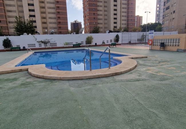 Apartamento en Benidorm - GEMELOS 4 (2 DORMITORIOS) Apartamento en Benidorm - GEMELOS 4 (2 DORMITORIOS)