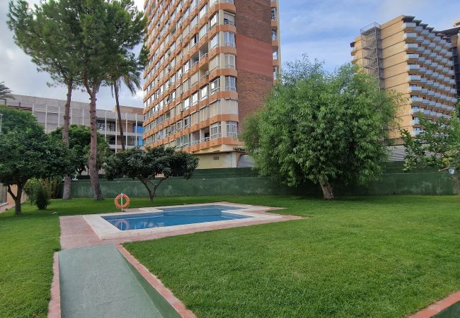 Apartamento en Benidorm - GEMELOS 4 (2 DORMITORIOS) Apartamento en Benidorm - GEMELOS 4 (2 DORMITORIOS)
