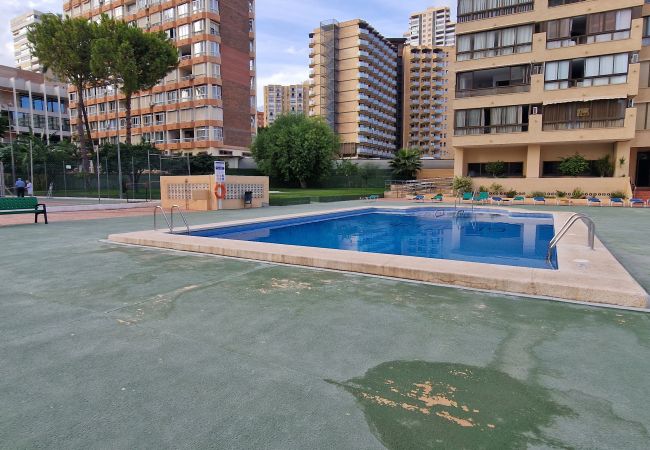 Apartamento en Benidorm - GEMELOS 4 (2 DORMITORIOS) Apartamento en Benidorm - GEMELOS 4 (2 DORMITORIOS)