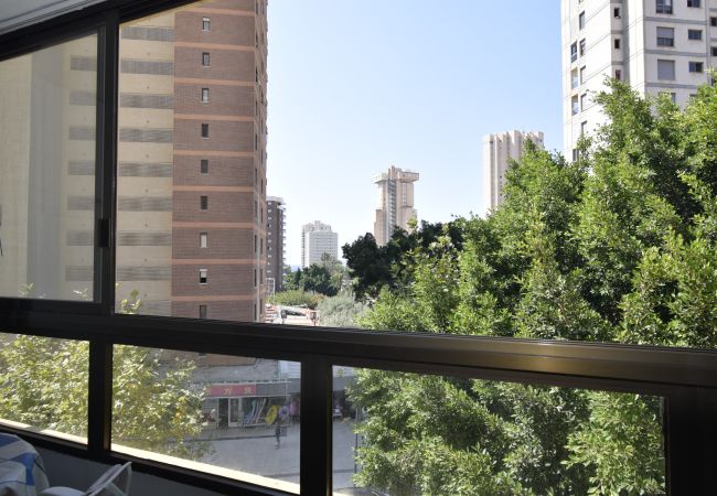 Apartamento en Benidorm - GEMELOS 4 (2 DORMITORIOS) Apartamento en Benidorm - GEMELOS 4 (2 DORMITORIOS)