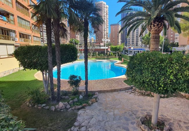 Apartamento en Benidorm - LAS ADELFAS (2 DORMITORIOS)