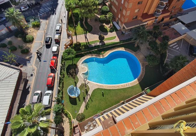 Apartamento en Benidorm - LAS ADELFAS (2 DORMITORIOS) Apartamento en Benidorm - LAS ADELFAS (2 DORMITORIOS)