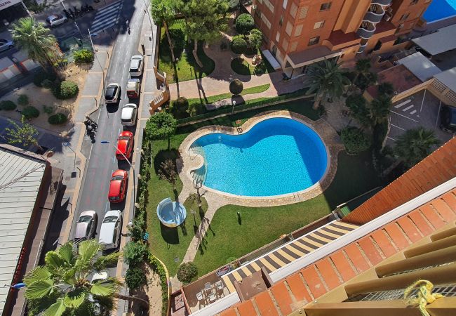 Apartamento en Benidorm - LAS ADELFAS (2 DORMITORIOS)