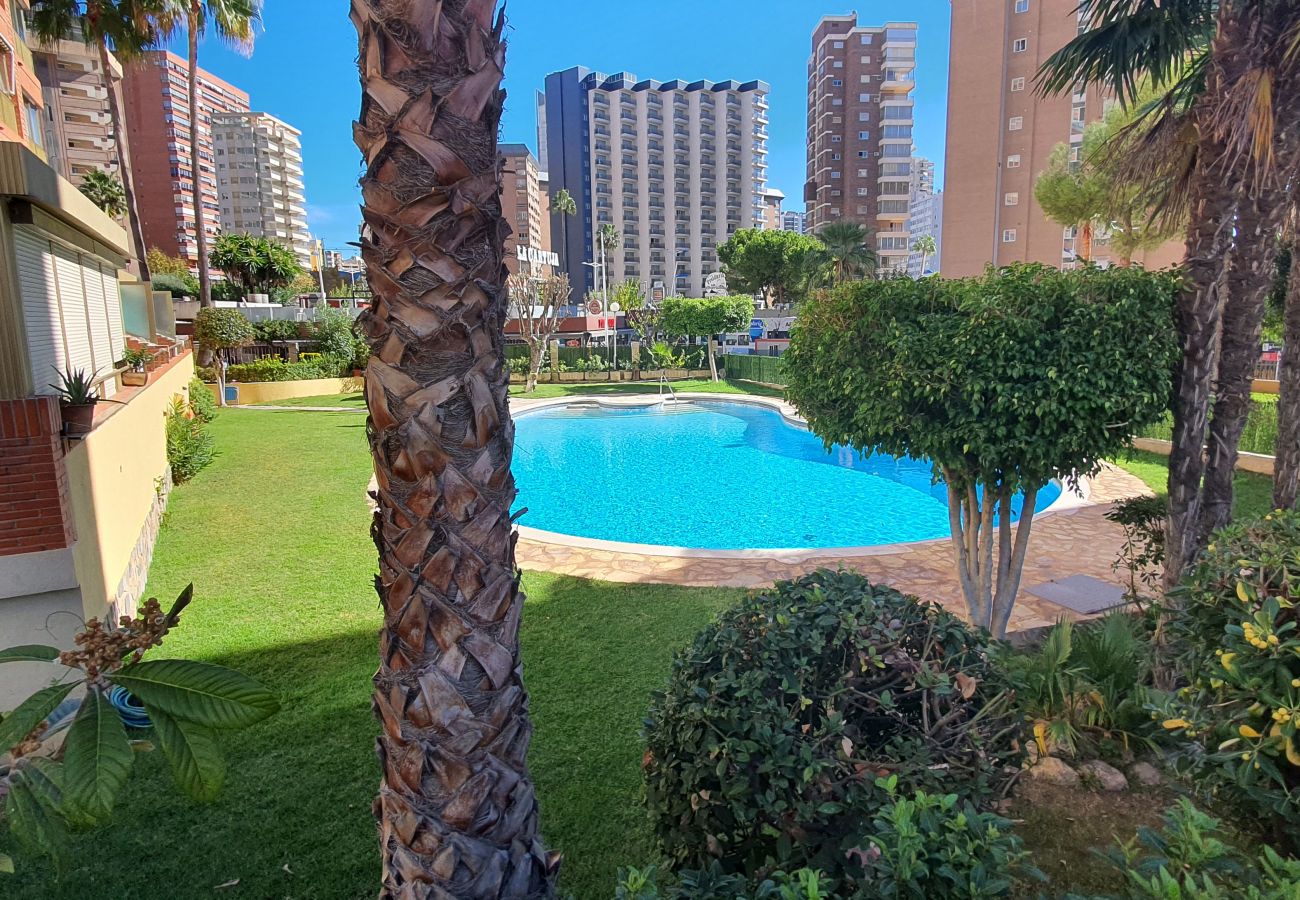 Apartamento en Benidorm - LAS ADELFAS (2 DORMITORIOS)