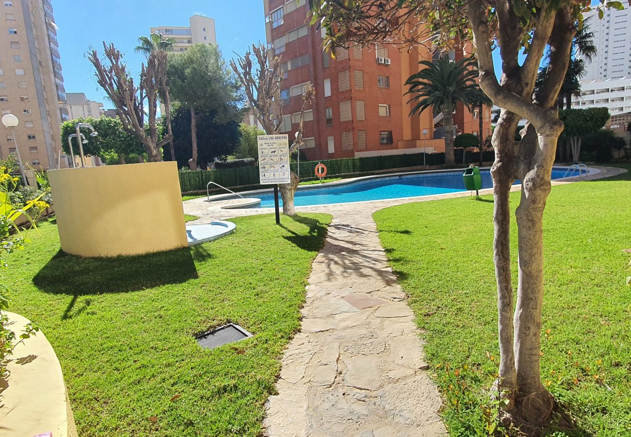 Apartamento en Benidorm - LAS ADELFAS (2 DORMITORIOS)