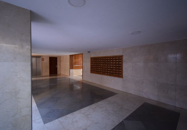 Apartamento en Benidorm - PRINCIPADO MARINA (3 DORMITORIOS) Apartamento en Benidorm - PRINCIPADO MARINA (3 DORMITORIOS)