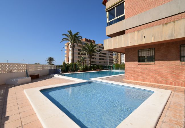 Apartamento en Benidorm - PRINCIPADO MARINA (3 DORMITORIOS) Apartamento en Benidorm - PRINCIPADO MARINA (3 DORMITORIOS)