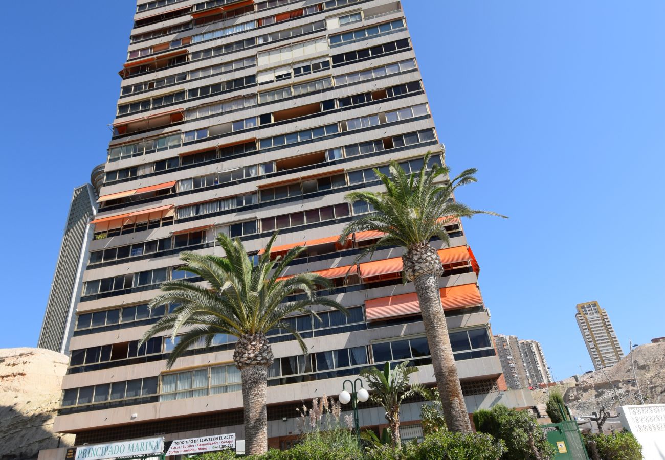 Apartamento en Benidorm - PRINCIPADO MARINA (3 DORMITORIOS)