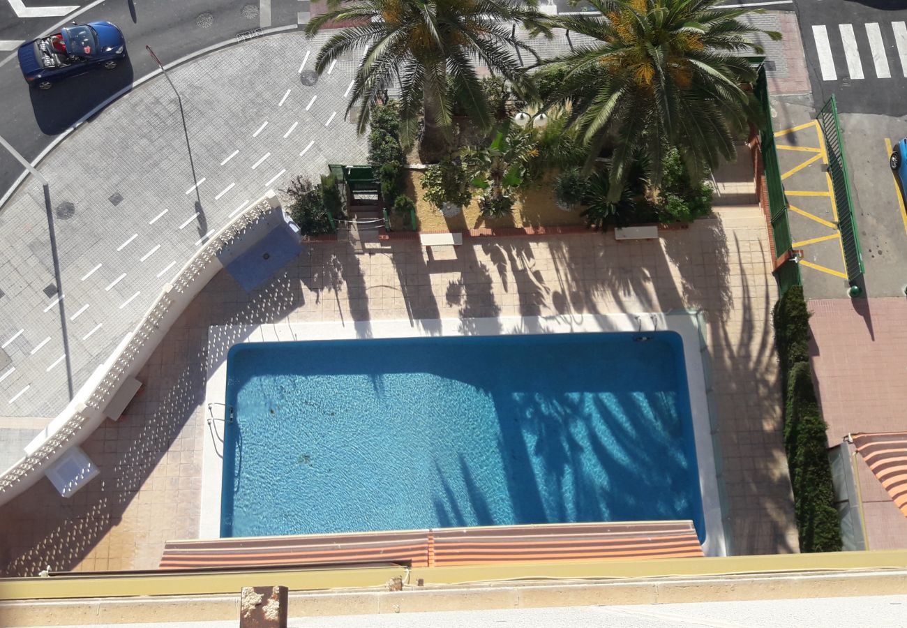 Apartamento en Benidorm - PRINCIPADO MARINA (3 DORMITORIOS)