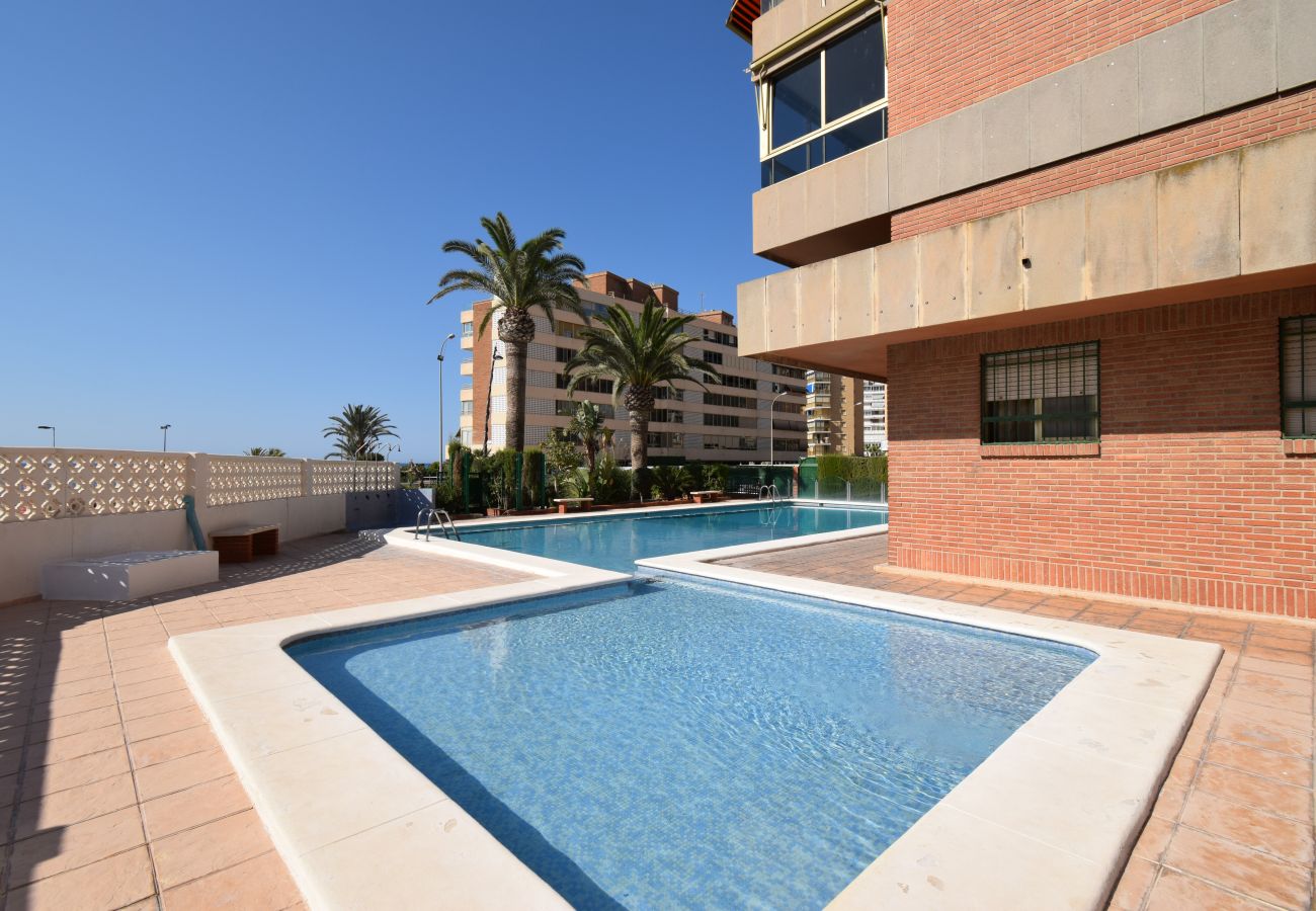 Apartamento en Benidorm - PRINCIPADO MARINA (3 DORMITORIOS)