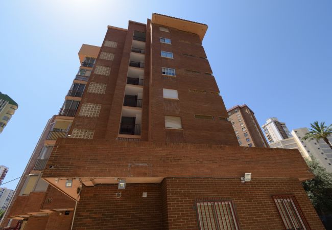 Apartamento en Benidorm - OCEAN 3 -  PLUS (2 DORMITORIOS) Apartamento en Benidorm - OCEAN 3 -  PLUS (2 DORMITORIOS)