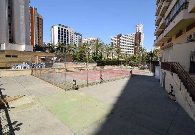 Estudio en Benidorm - ACUARIUM 3 (ESTUDIO) Estudio en Benidorm - ACUARIUM 3 (ESTUDIO)