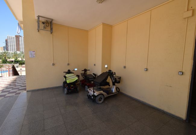 Estudio en Benidorm - ACUARIUM 3 (ESTUDIO) Estudio en Benidorm - ACUARIUM 3 (ESTUDIO)