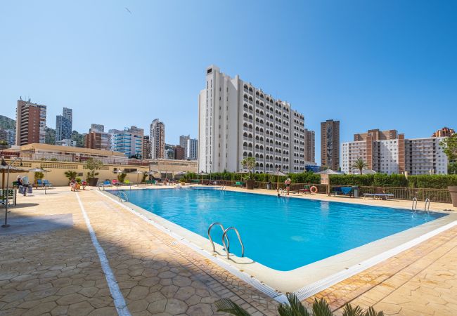 Estudio en Benidorm - ACUARIUM 3 (ESTUDIO) Estudio en Benidorm - ACUARIUM 3 (ESTUDIO)