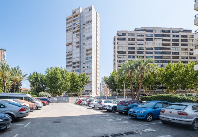 Estudio en Benidorm - ACUARIUM 3 (ESTUDIO) Estudio en Benidorm - ACUARIUM 3 (ESTUDIO)