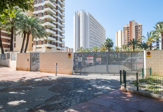 Estudio en Benidorm - ACUARIUM 3 (ESTUDIO) Estudio en Benidorm - ACUARIUM 3 (ESTUDIO)