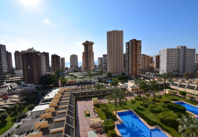 Apartamento en Benidorm - GEMELOS 20 (1 DORMITORIO)