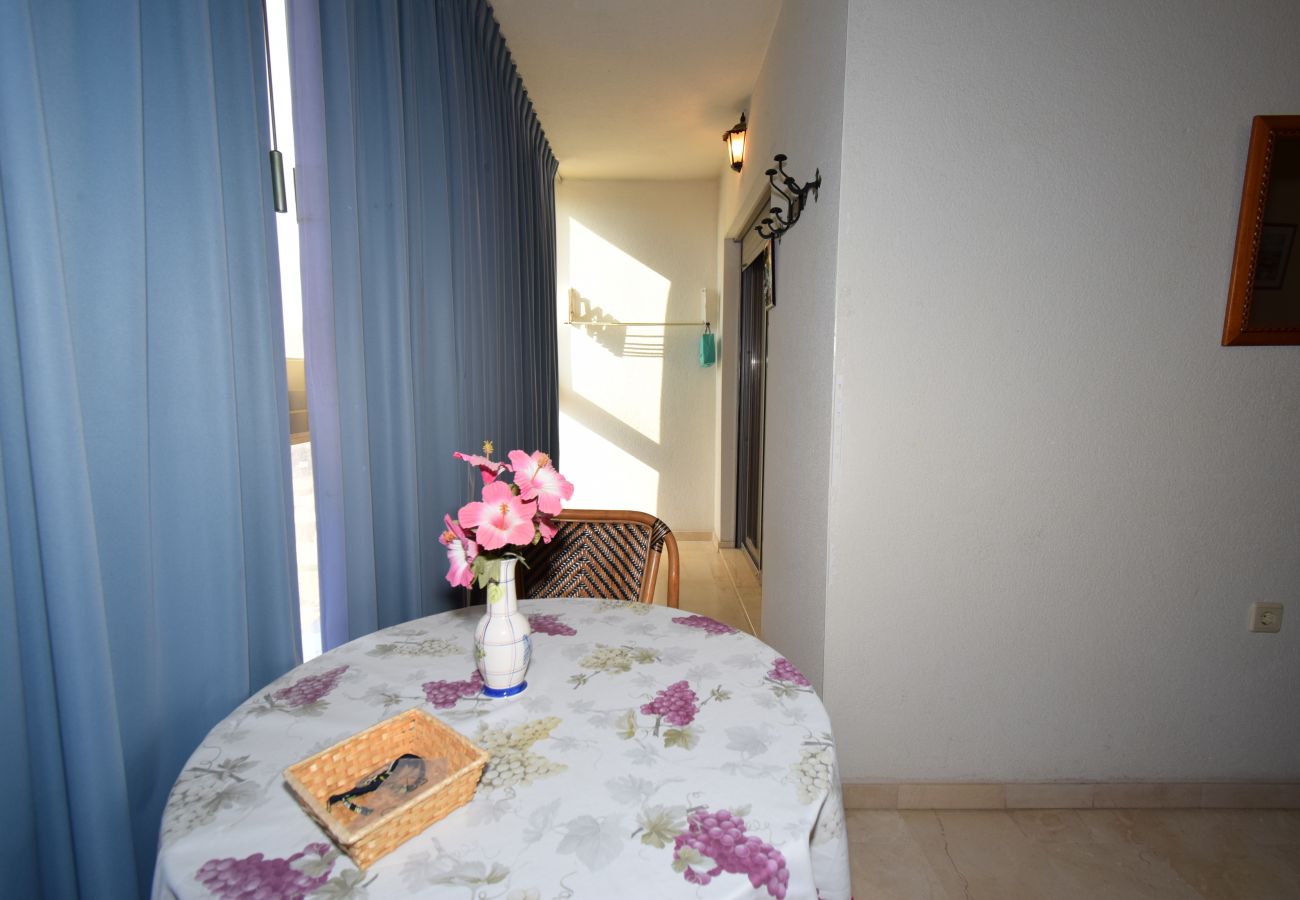 Apartamento en Benidorm - GEMELOS 20 (1 DORMITORIO)