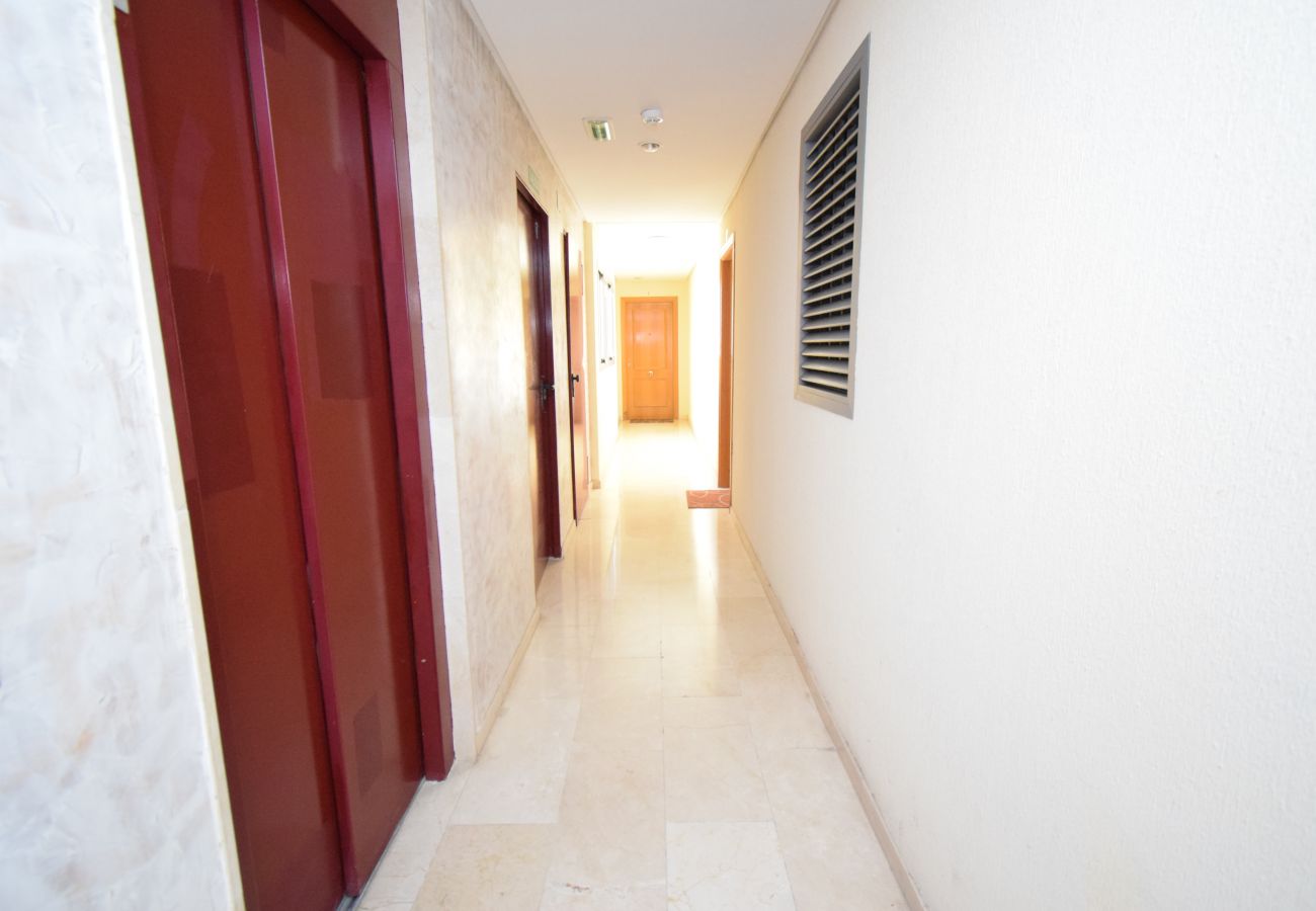 Apartamento en Benidorm - GEMELOS 20 (1 DORMITORIO)
