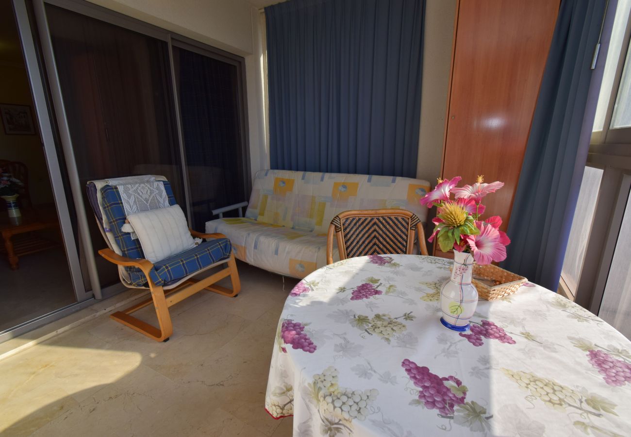 Apartamento en Benidorm - GEMELOS 20 (1 DORMITORIO)