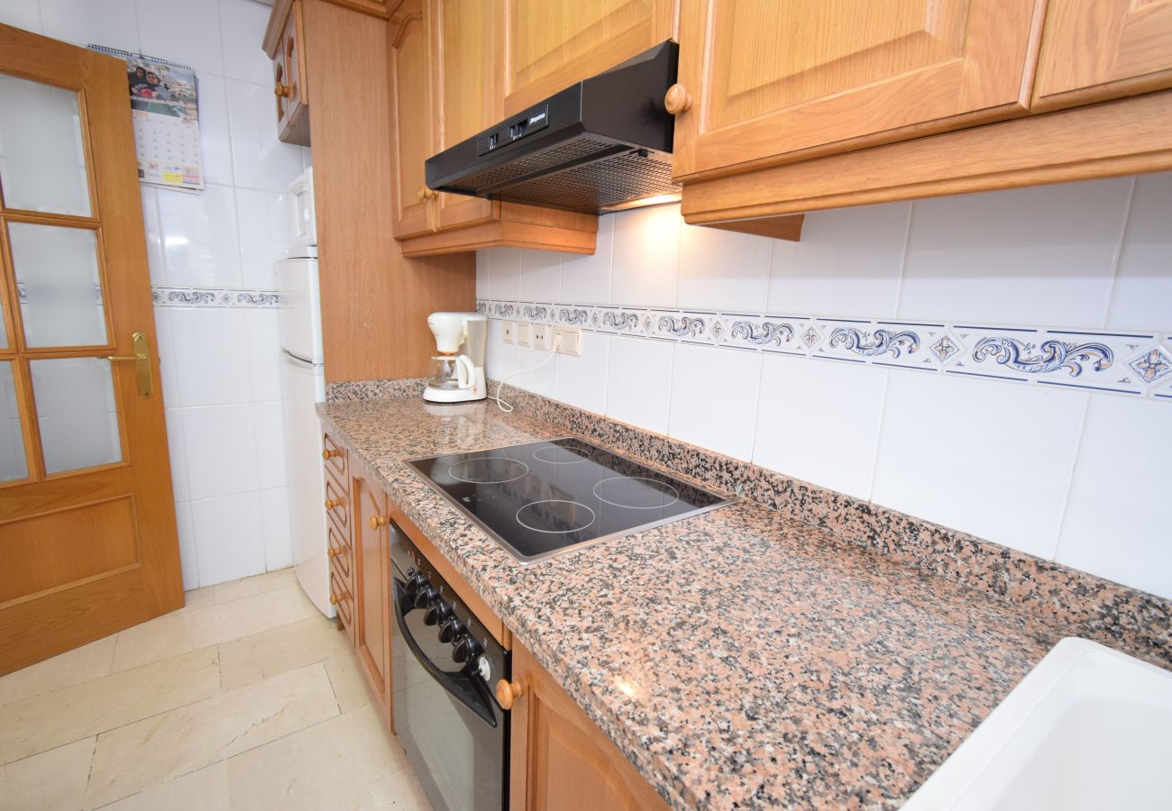 Apartamento en Benidorm - GEMELOS 20 (1 DORMITORIO)