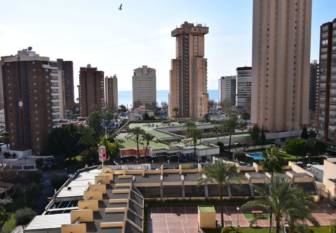 Apartamento en Benidorm - GEMELOS 20 (1 DORMITORIO)