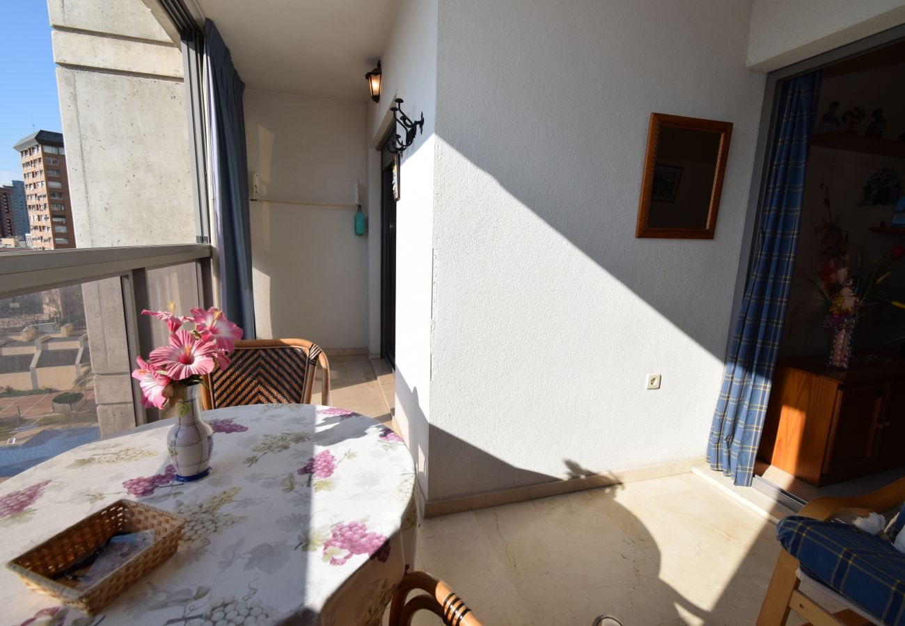 Apartamento en Benidorm - GEMELOS 20 (1 DORMITORIO)