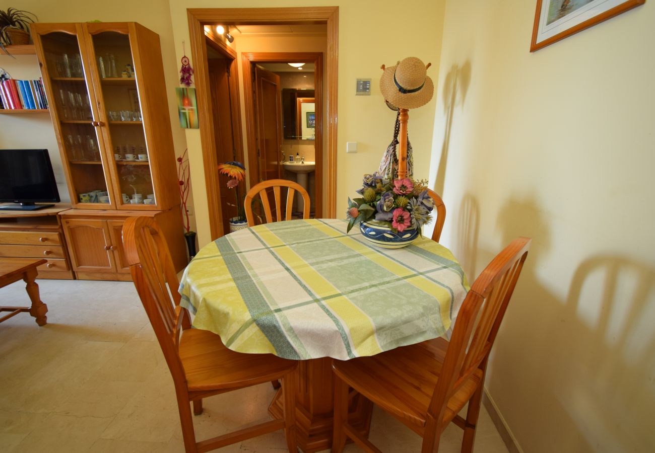 Apartamento en Benidorm - GEMELOS 20 (1 DORMITORIO)