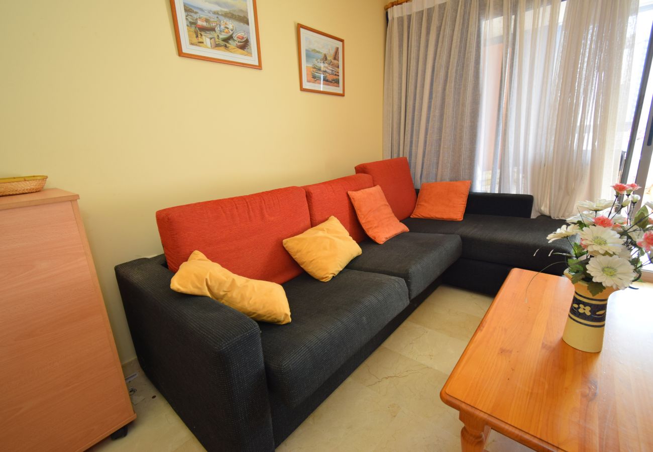 Apartamento en Benidorm - GEMELOS 20 (1 DORMITORIO)