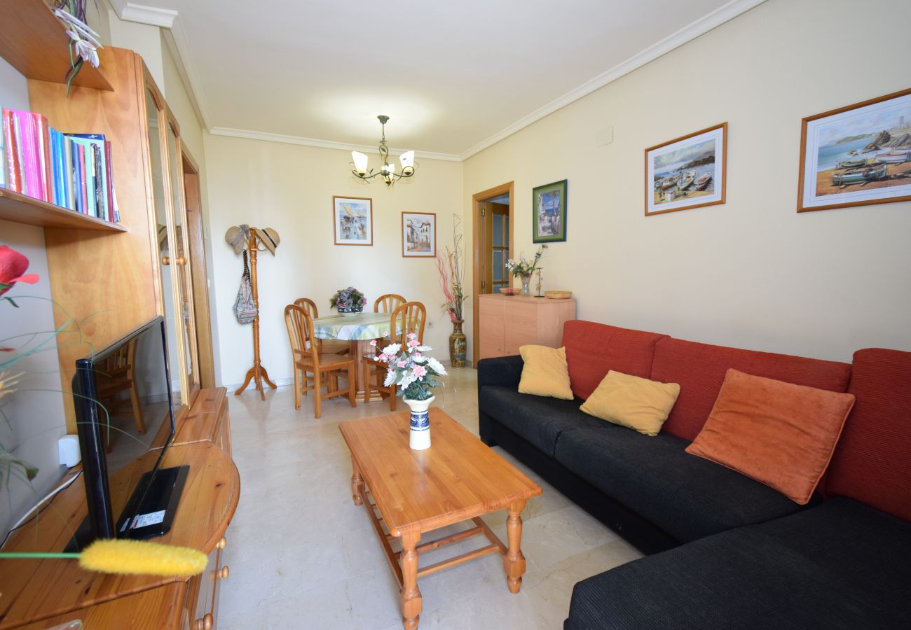 Apartamento en Benidorm - GEMELOS 20 (1 DORMITORIO)
