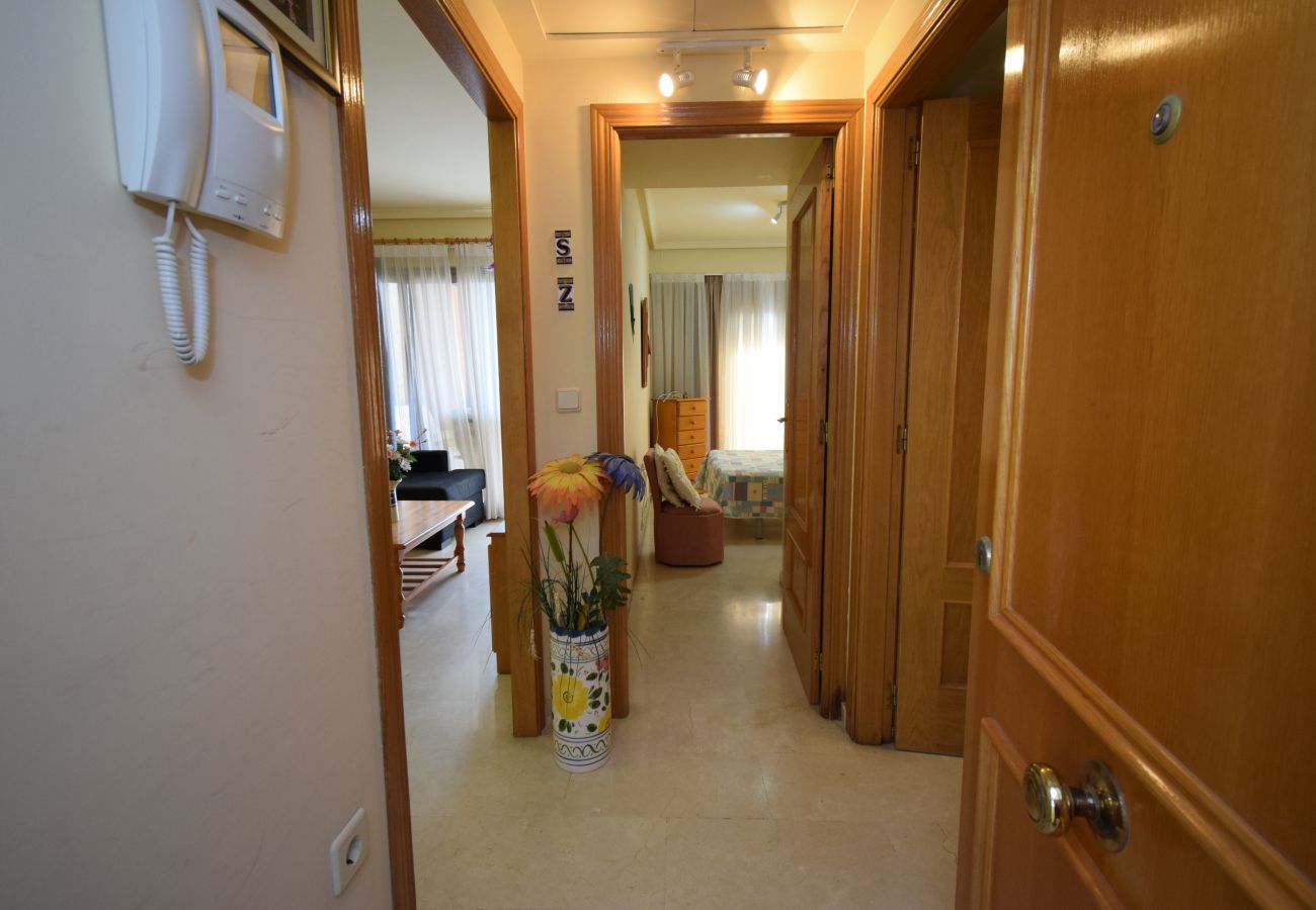 Apartamento en Benidorm - GEMELOS 20 (1 DORMITORIO)