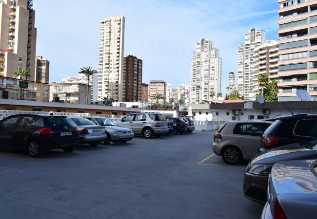 Estudio en Benidorm - LOS CABALLOS (ESTUDIO) CON TERRAZA Estudio en Benidorm - LOS CABALLOS (ESTUDIO) CON TERRAZA
