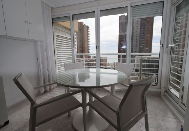 Estudio en Benidorm - LOS CABALLOS (ESTUDIO) CON TERRAZA