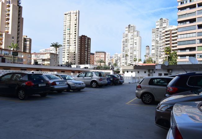 Estudio en Benidorm - LOS CABALLOS (ESTUDIO) CON TERRAZA