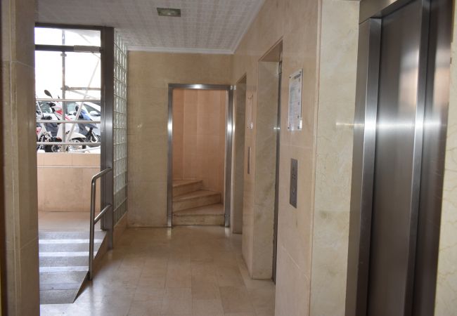 Estudio en Benidorm - LOS CABALLOS (ESTUDIO) CON TERRAZA Estudio en Benidorm - LOS CABALLOS (ESTUDIO) CON TERRAZA