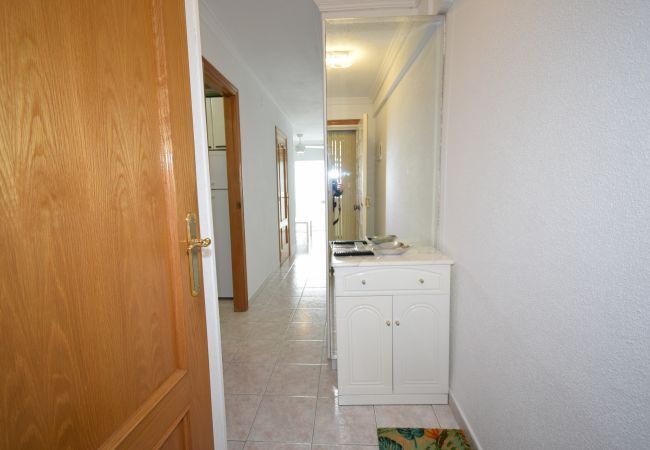 Estudio en Benidorm - LOS CABALLOS (ESTUDIO) CON TERRAZA Estudio en Benidorm - LOS CABALLOS (ESTUDIO) CON TERRAZA