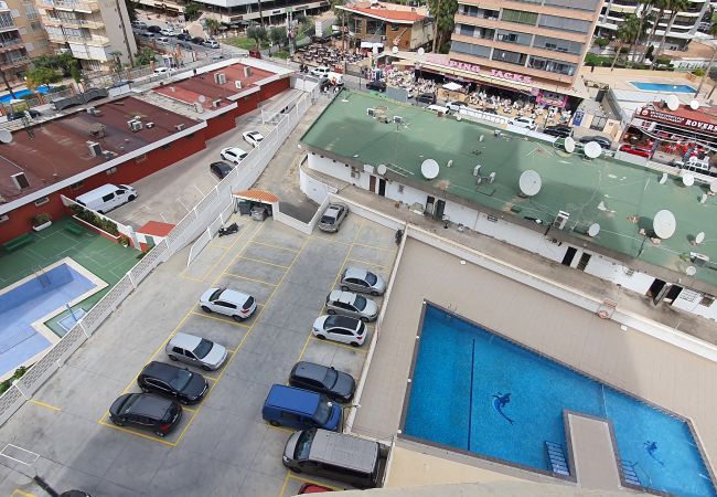 Estudio en Benidorm - LOS CABALLOS (ESTUDIO) CON TERRAZA