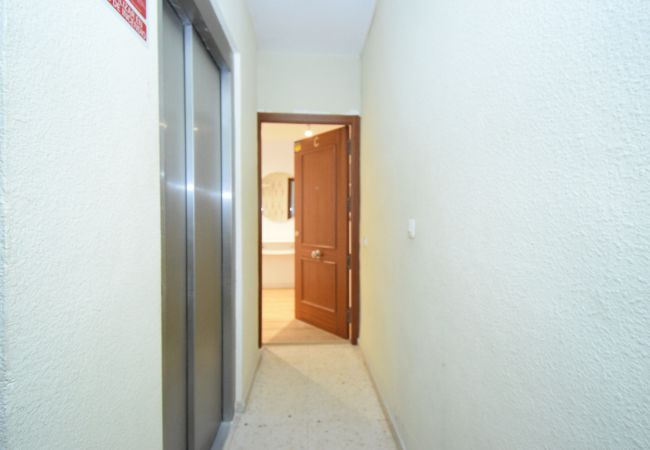 Apartamento en Benidorm - LUX CENTER (3 DORMITORIOS)