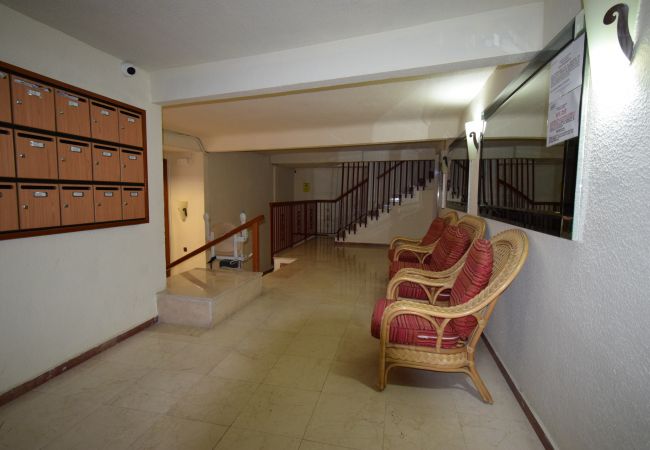 Apartamento en Benidorm - LUX CENTER (3 DORMITORIOS)