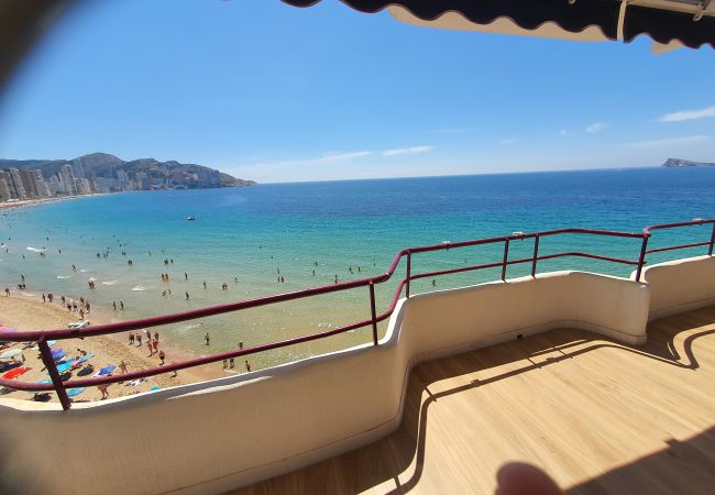 Apartamento en Benidorm - LUX CENTER (3 DORMITORIOS)