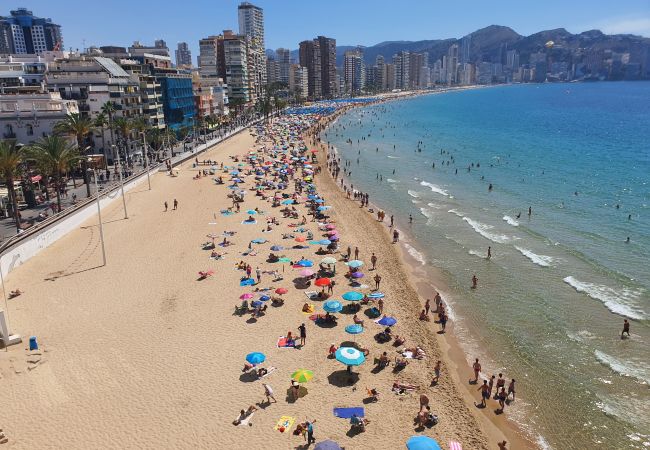 Apartamento en Benidorm - LUX CENTER (3 DORMITORIOS)