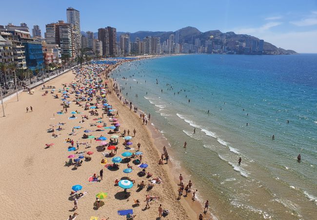 Apartamento en Benidorm - LUX CENTER (3 DORMITORIOS) Apartamento en Benidorm - LUX CENTER (3 DORMITORIOS)