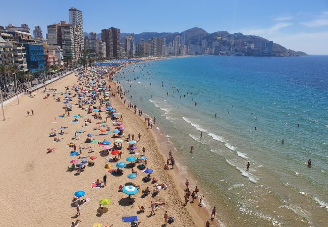 Apartamento en Benidorm - LUX CENTER (3 DORMITORIOS)